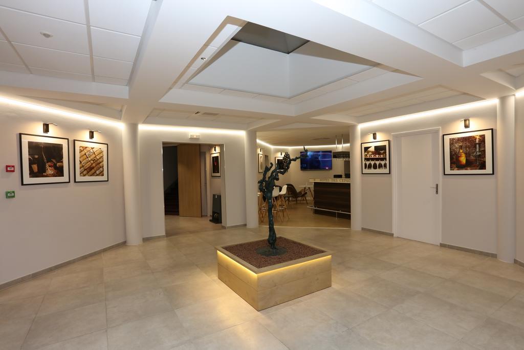 Hotel Logis Des Cepages Arbois